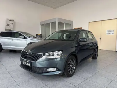 Usata Skoda Fabia