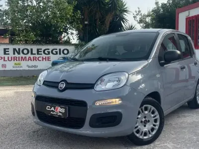 Usata Fiat Panda Easy 69 CV (50 kW) 2020 Grigio Utilitaria
