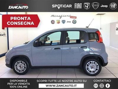 Usata Fiat Panda S 70 CV (51 kW) 2023 Grigio Utilitaria