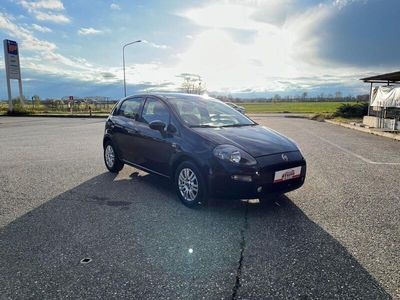 usata Fiat Punto 1.2 8V 5 porte Lounge