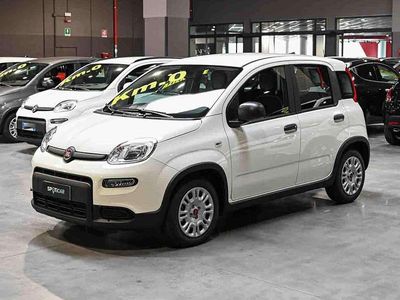 Usata Fiat Panda S 69 CV (50 kW) 2023 Bianco Utilitaria