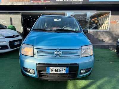 Gebraucht Fiat Panda 4x4 75 PS (55 kW) 2006 Blau Kleinwagen