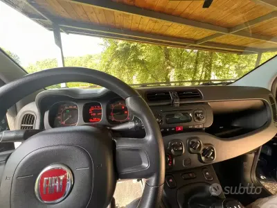 Usata Fiat Panda 95 CV (69 kW) 2017 Utilitaria
