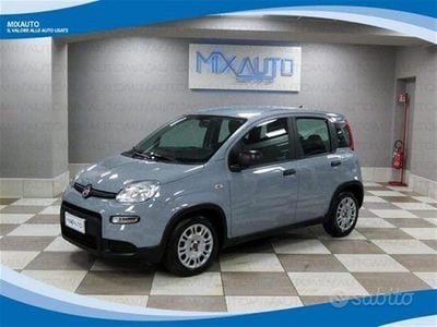 Usata Fiat Panda S 70 CV (51 kW) 2023 Grigio pastello Utilitaria