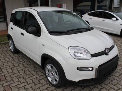 usata Fiat Panda 2ª serie 1.0 firefly hybrid City Life s&s 70cv 5p.ti