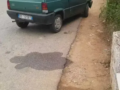 Usata Fiat Panda
