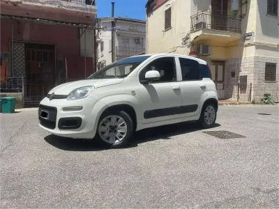 Usata Fiat Panda