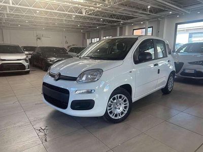 Nuova Fiat Panda Pop 69 CV (50 kW) 2026 Bianco gelato / vari colori Utilitaria