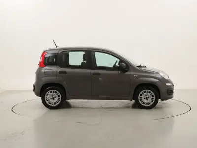Usata Fiat Panda Easy 69 CV (50 kW) 2021 Antraciteantracite Utilitaria