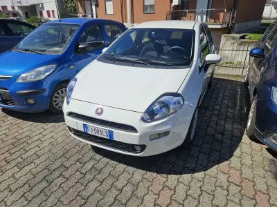 Usata Fiat Punto Lounge 69 CV (50 kW) 2017 Utilitaria