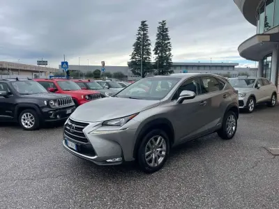 Usata Lexus NX300h Executive Line 155 CV (114 kW) 2016 Grigio SUV