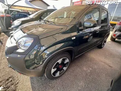 Usata Fiat Panda Cross Cross 69 CV (50 kW) 2024 Verde Utilitaria