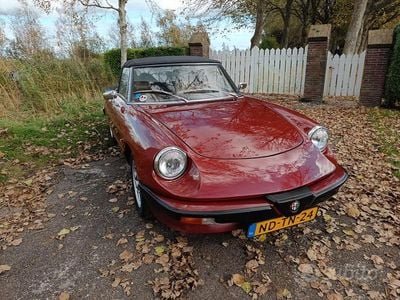 Usata Alfa Romeo Spider 1983 Rosso Cabrio