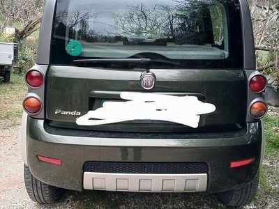 Usata Fiat Panda Cross 2010 Verde Utilitaria