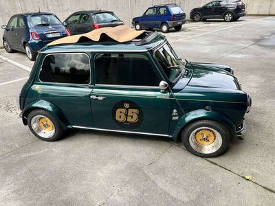 Rover Mini