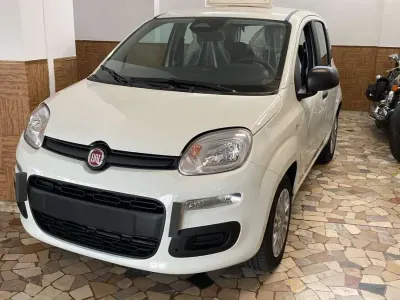 Nuova Fiat Panda S 69 CV (50 kW) 2025 Bianco Utilitaria