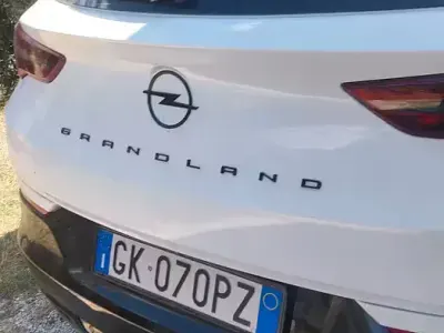 Usata Opel Grandland X 131 CV (96 kW) 2022 Bianco SUV
