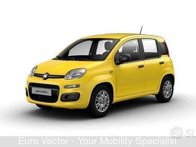 Usata Fiat Panda S 70 CV (51 kW) 2024 Giallo Utilitaria