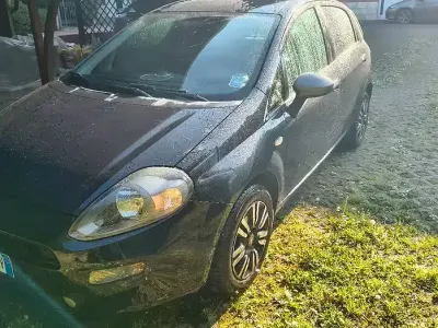 Brugt Fiat Punto 69 HK (50 kW) 2014 Hatchback