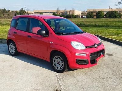 Usata Fiat Panda Easy 69 CV (50 kW) 2017 Rosso Utilitaria