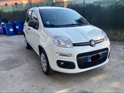 Usata Fiat Panda Easy 70 CV (51 kW) 2020 Bianco Utilitaria
