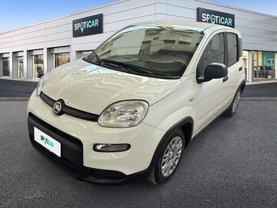 Usata Fiat Panda S 70 CV (51 kW) 2024 Bianco Utilitaria