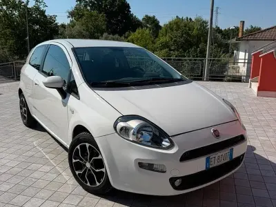 Usata Fiat Punto Evo 75 CV (55 kW) 2013 Bianco Utilitaria