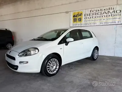 Second-hand Fiat Punto 69 CP (50 kW) 2013 Alb Hatchback