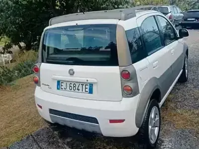 Usata Fiat Panda 4x4 75 CV (55 kW) 2011 Bianco Utilitaria