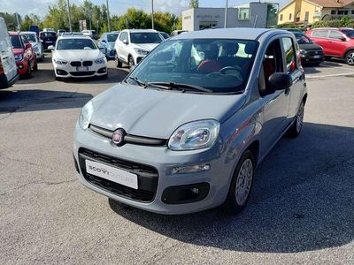 Usata Fiat Panda Easy 69 CV (50 kW) 2020 Grigio Utilitaria