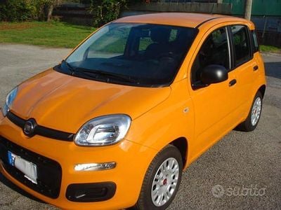 Usata Fiat Panda 69 CV (50 kW) 2019 Utilitaria