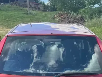 Usata Fiat Punto