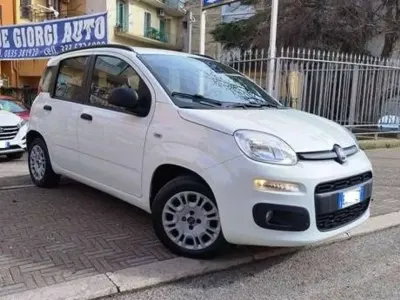 Usata Fiat Panda 75 CV (55 kW) 2013 Bianco Utilitaria