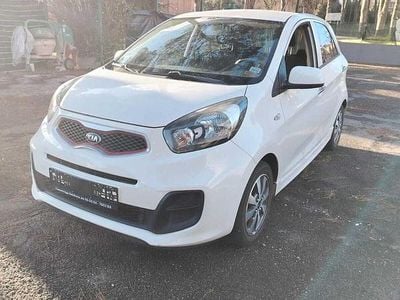 Usata Kia Picanto 69 CV (50 kW) 2015 Bianco Utilitaria