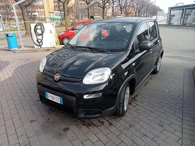 Usata Fiat Panda Red 69 CV (50 kW) 2023 Utilitaria