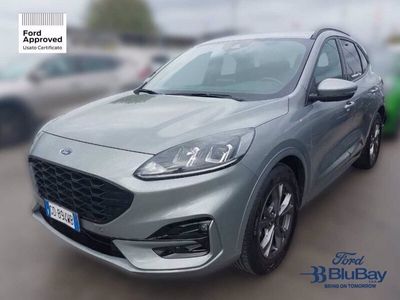 usata Ford Kuga 3ª serie 1.5 EcoBlue 120 CV 2WD ST-Line