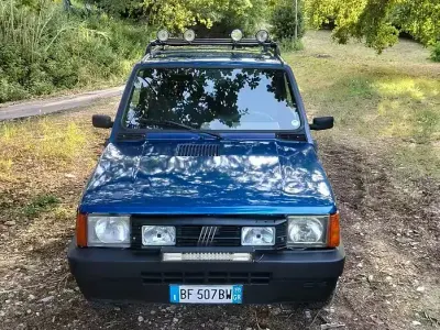 Usata Fiat Panda 4x4 54 CV (39 kW) 1999 Blu Utilitaria