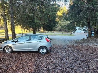 Usata Ford Fiesta 75 CV (55 kW) 2012 Grigio Utilitaria