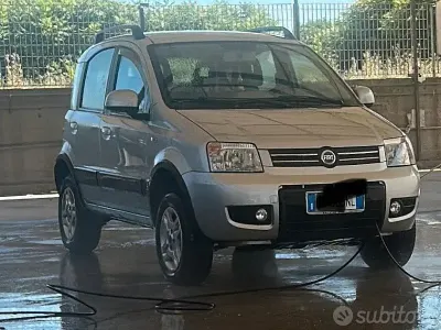 Usata Fiat Panda 4x4 69 CV (50 kW) 2007 Grigio Utilitaria