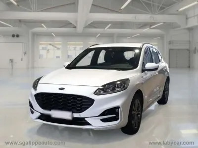 Usata Ford Kuga ST-Line 120 CV (88 kW) 2022 Bianco SUV