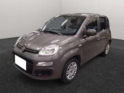 Usata Fiat Panda Easy 69 CV (50 kW) 2020 Grigio Utilitaria
