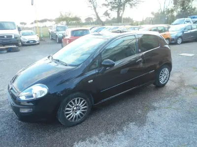 Usata Fiat Punto Evo Active 95 CV (69 kW) 2012 Nero Utilitaria