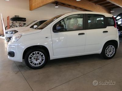Usata Fiat Panda Easy 69 CV (50 kW) 2020 Bianco Utilitaria