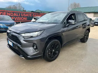 Usata Toyota RAV4 Hybrid