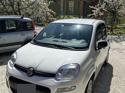 Usata Fiat Panda Easy 69 CV (50 kW) 2015 Bianco Utilitaria