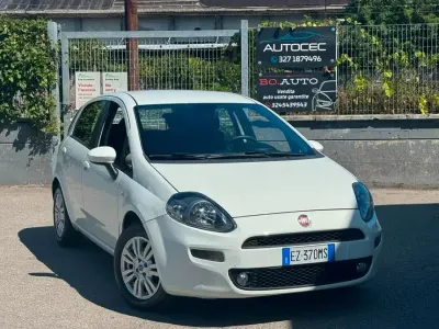 Usata Fiat Punto Lounge 75 CV (55 kW) 2015 Bianco Utilitaria