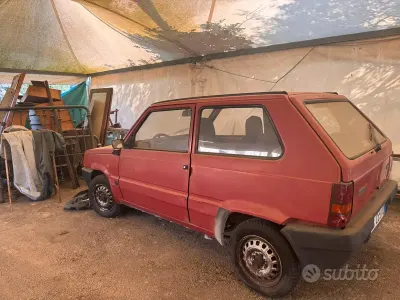 Usata Fiat Panda