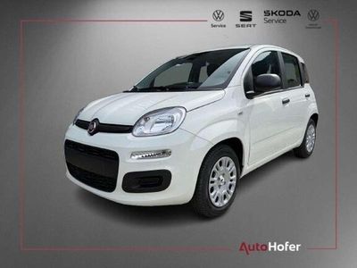 Nuova Fiat Panda Icon 65 CV (47 kW) 2026 Bianco Utilitaria