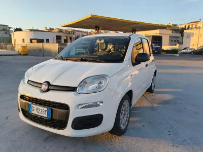 Usata Fiat Panda Cross