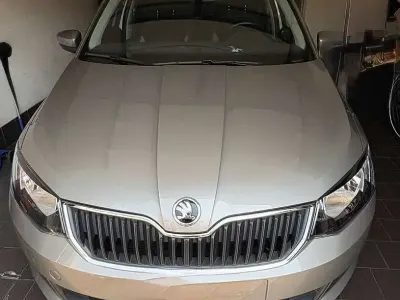 Usata Skoda Fabia